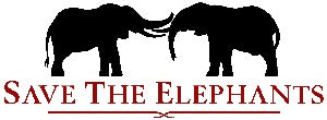 Strength and Eternity Elephant Bracelet