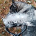 The Original FureverBrush™ - Pro Grooming Tool
