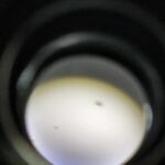 Super Macro Lens 100 mm