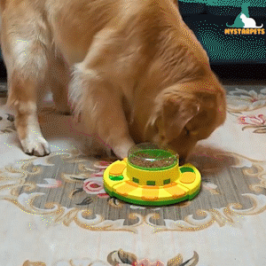 Wisdom Dog Toys Slow Leakage Feeding Training