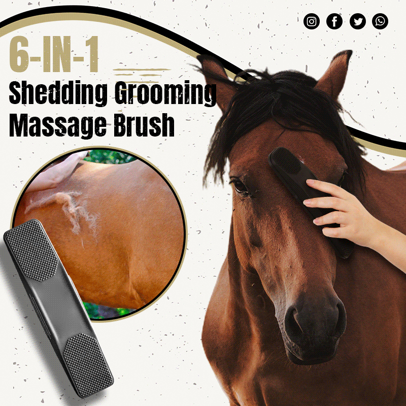 Horses Dogs 6-in-1 Shedding Grooming Massage Brush