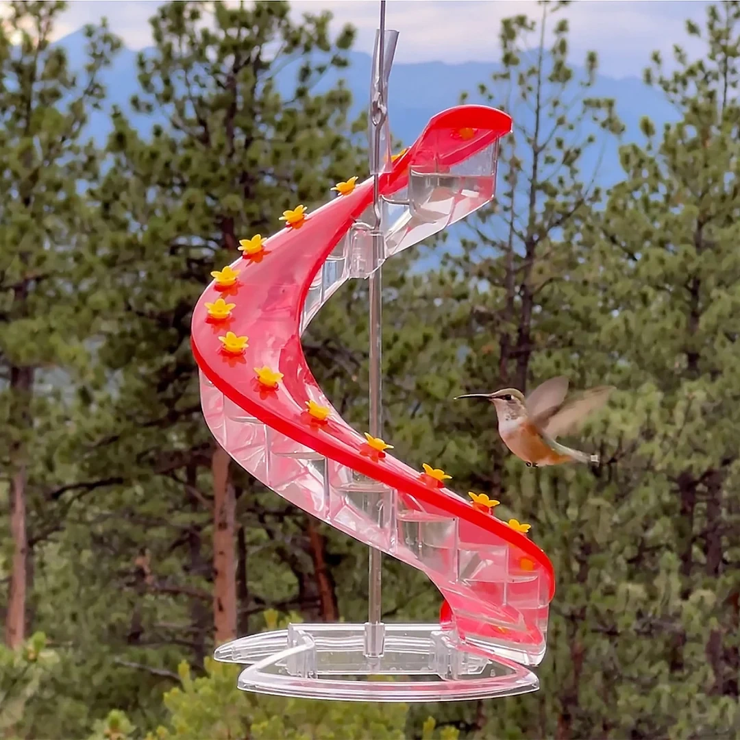 DNA Helix Hummingbird Feeder