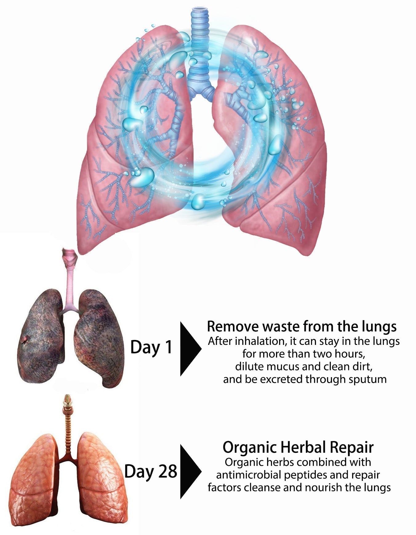 OnNature Organic Herbal Lung Cleanse & Repair Nasal Spray PRO (Flash Sale Now)