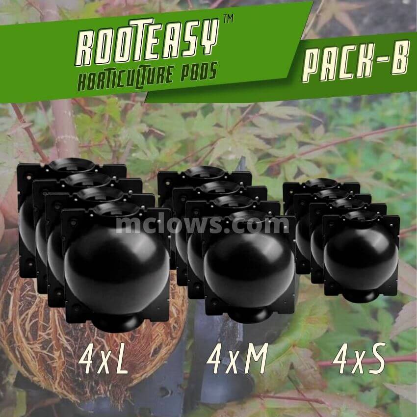 RootEasy Plant Rooting Box Seeding Case