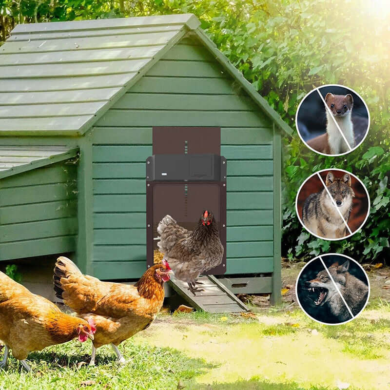 CluckGuard - Chicken Coop Automatic Door