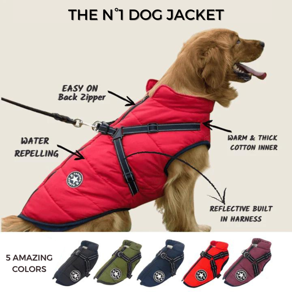 Cosy Jacket - 3 in 1 Dog Winter Jacket