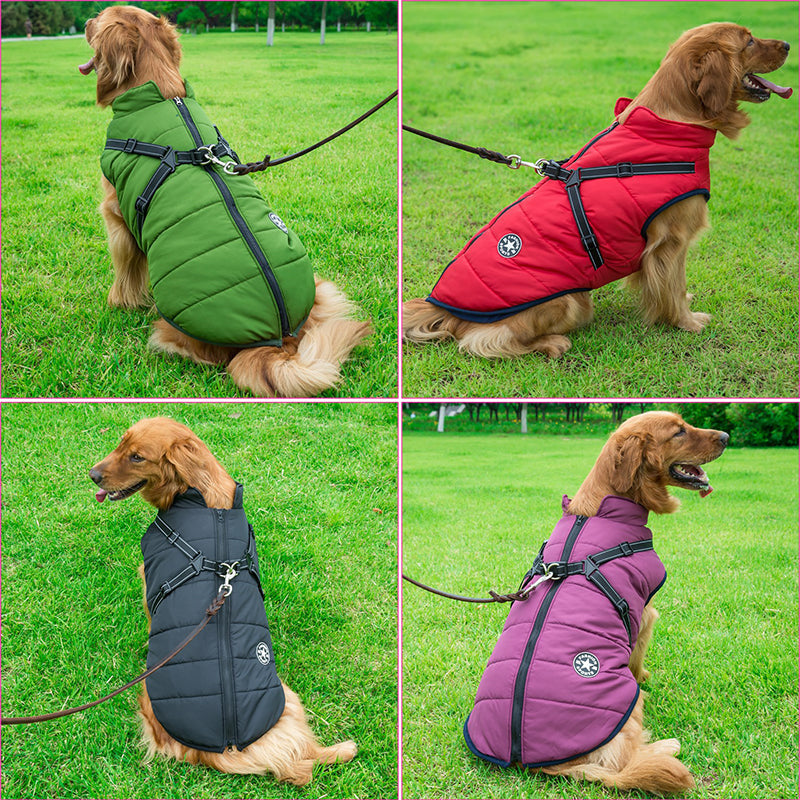 Cosy Jacket - 3 in 1 Dog Winter Jacket