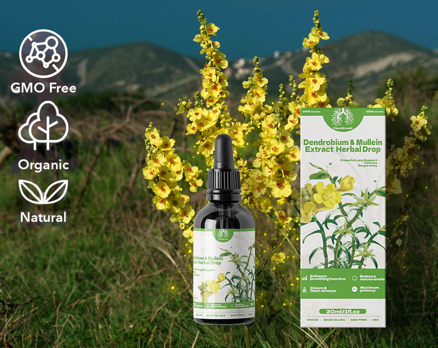BREATHE-RIGHT DENDROBIUM: MULLEIN EXTRACT: POWERFUL LUNG SUPPORT CLEANSE AND RESPIRATORY