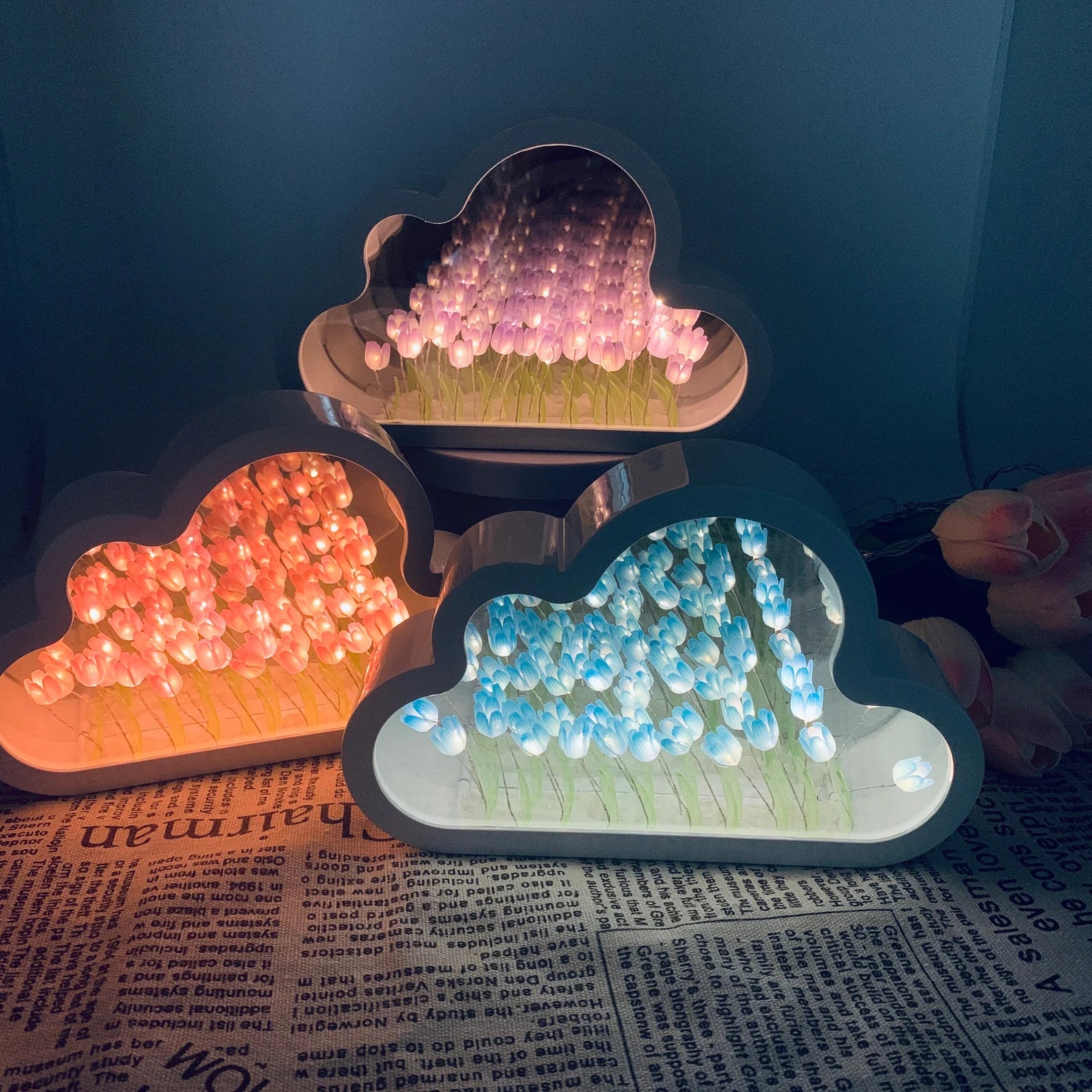 Cloud Mirror With Tulips Inside